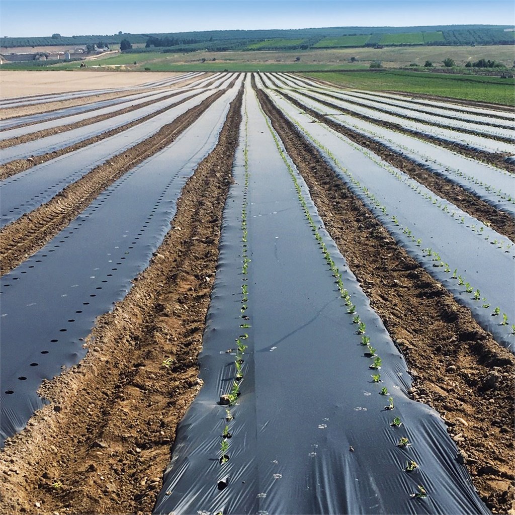 FILM PE NERO 0,18 MT. 2 X 220  BOBINA